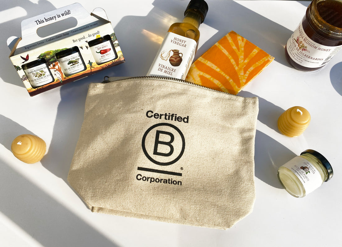 What Is A B-Corp, And Why Is It Important?