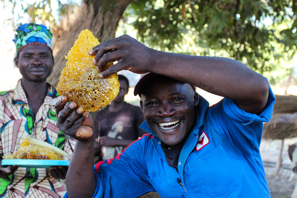 happy African beekeeper showing his honey harvest