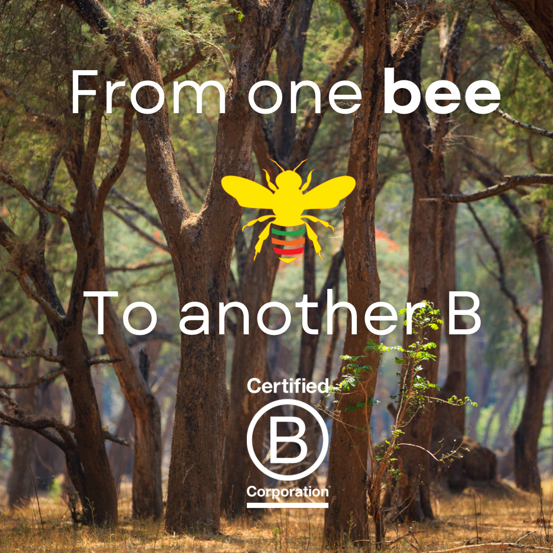 From one Bee to another B