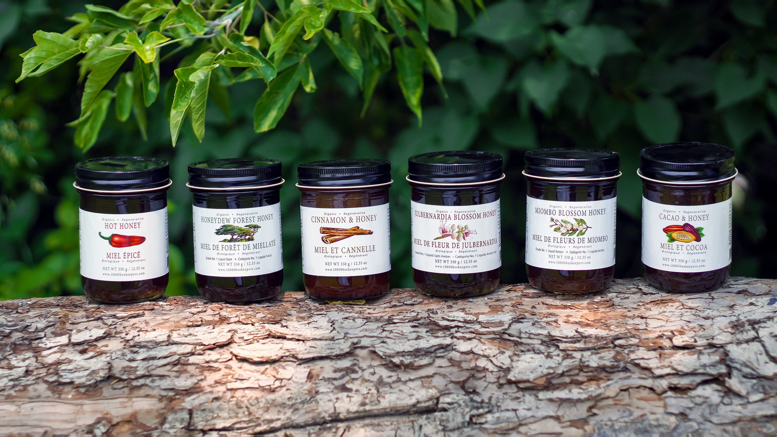sustainable raw organic forest honey in reusable jars