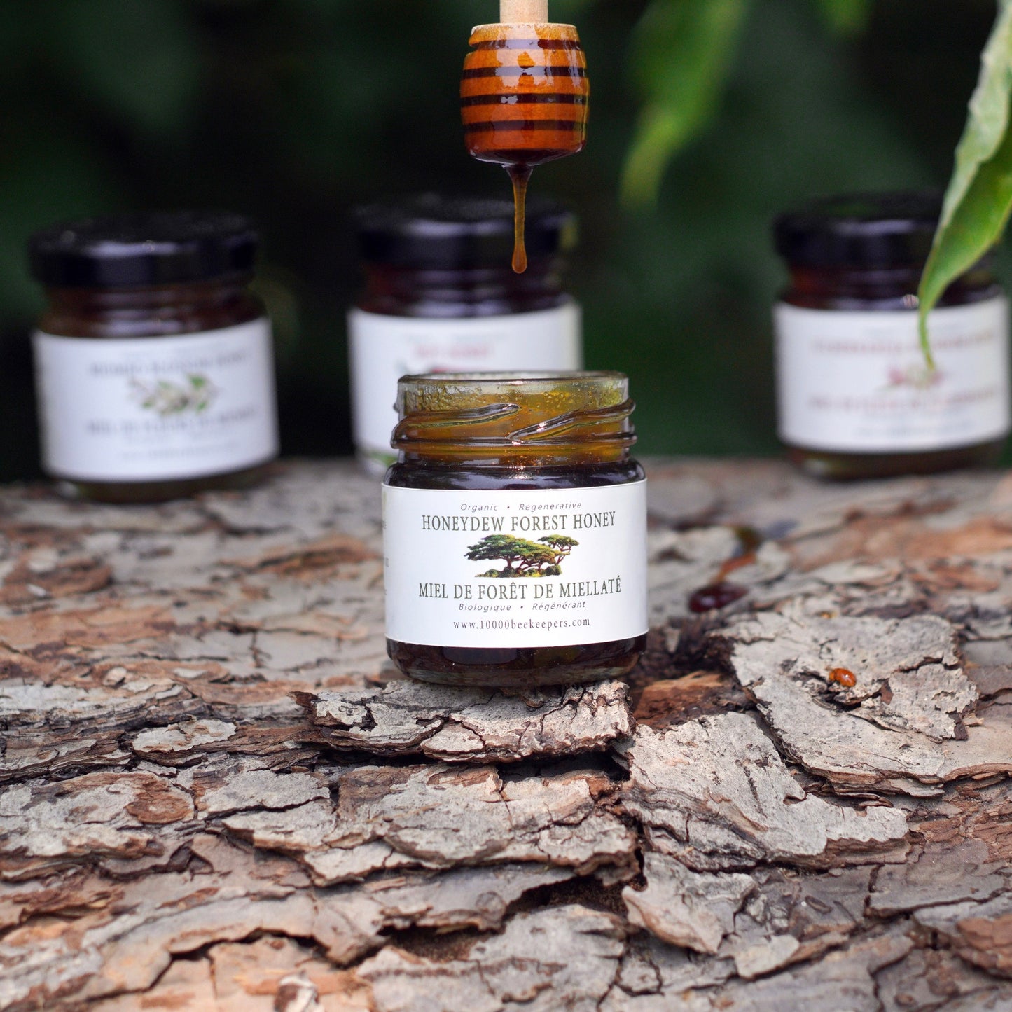 Healthy Honeydew Forest Honey mini jar