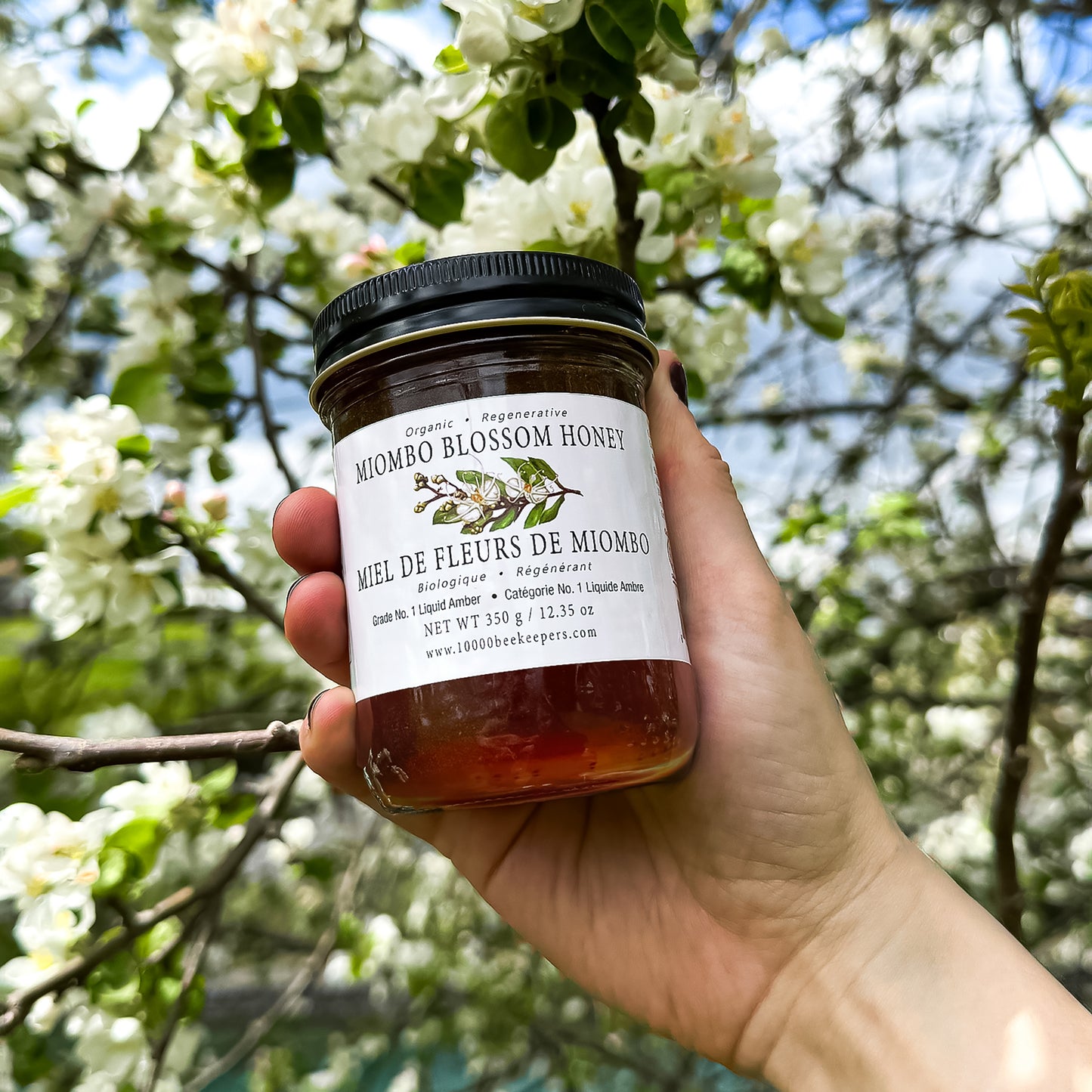 Wild Blossom raw forest honey